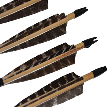 6 pcs black out nock colorful fletching wood shaft hunting white wood arrow target shooting bow arrow
6 pcs black out nock colorful fletching wood shaft hunting white wood arrow target shooting bow arrow