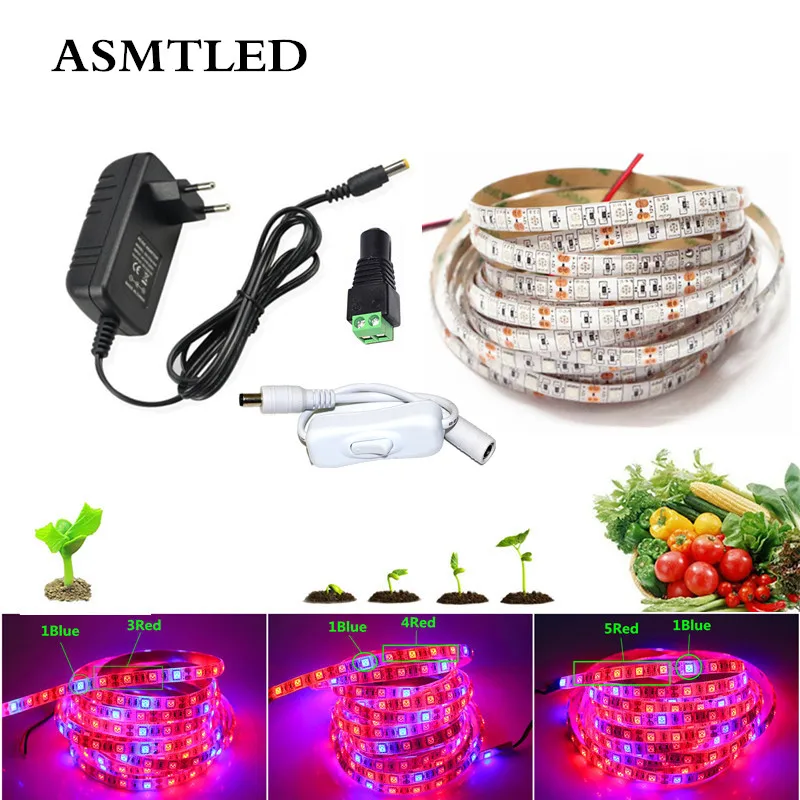 LED Plant Grow Light Full Spectrum lamp grow LED strip Red Blue hydroponic apollo phyto lamp grows light+Power+Controller+switch
LED Plant Grow Light Full Spectrum lamp grow LED strip Red Blue hydroponic apollo phyto lamp grows light+Power+Controller+switch