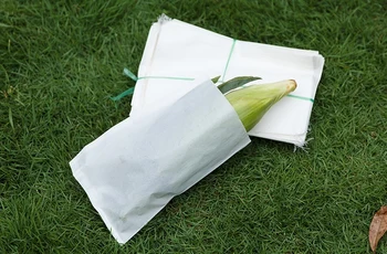 100pcs/lot LxW: 18x11cm Seeds packaging bag Crop pollination isolation sack parchment paper bags
100pcs/lot LxW: 18x11cm Seeds packaging bag Crop pollination isolation sack parchment paper bags