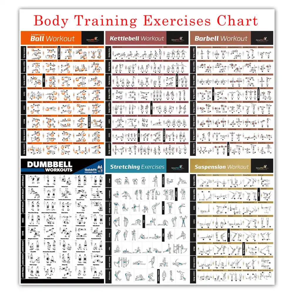 Full Body Exercise Chart