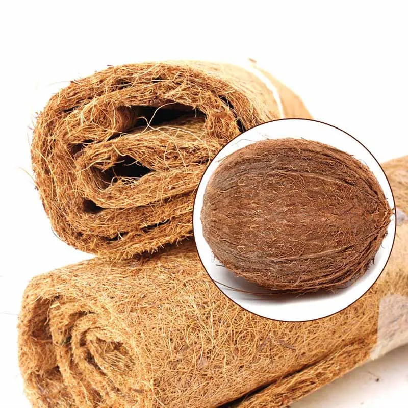Reptile Pet Bed Mat Aquarium Tortoise Turtle Lizard Reptiles Climbing Coconut Palm Carpet SKD88
Reptile Pet Bed Mat Aquarium Tortoise Turtle Lizard Reptiles Climbing Coconut Palm Carpet SKD88