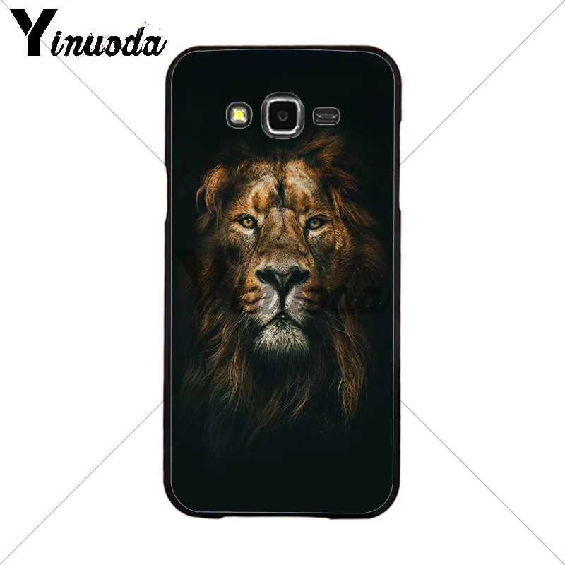Animals The lion
