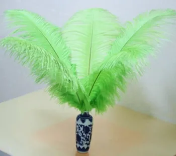 Sell high quality 50pcs / lot green ostrich feather 14-16 "/ 35-40cm, DIY jewelry accessories /Wedding decoration
Sell high quality 50pcs / lot green ostrich feather 14-16 "/ 35-40cm, DIY jewelry accessories /Wedding decoration
