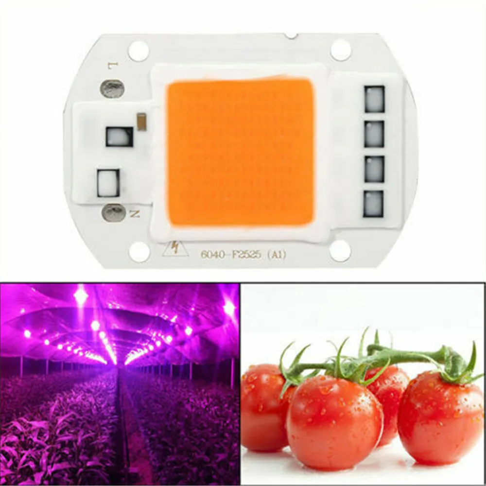 Full Spectrum COB LED Chip Phyto Lamp AC110V 220V 20W 30W 50W LED Diode Grow Lights fitolampy DIY Spotlight For Seedlings Indoor
Full Spectrum COB LED Chip Phyto Lamp AC110V 220V 20W 30W 50W LED Diode Grow Lights fitolampy DIY Spotlight For Seedlings Indoor