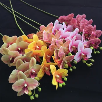 50pcs Real Touch Orchid Flower Fake Cymbidium PU 3D Printing Phalaenopsis 7 Heads Orchids for Artificial Decorative Flowers
50pcs Real Touch Orchid Flower Fake Cymbidium PU 3D Printing Phalaenopsis 7 Heads Orchids for Artificial Decorative Flowers
