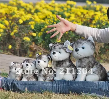 1 Piece Retail(not 1 set) Free Shipping Hotsale puppy Plush Toy 10" Sitting super cute and vivid Husky dog--Large size
1 Piece Retail(not 1 set) Free Shipping Hotsale puppy Plush Toy 10" Sitting super cute and vivid Husky dog--Large size