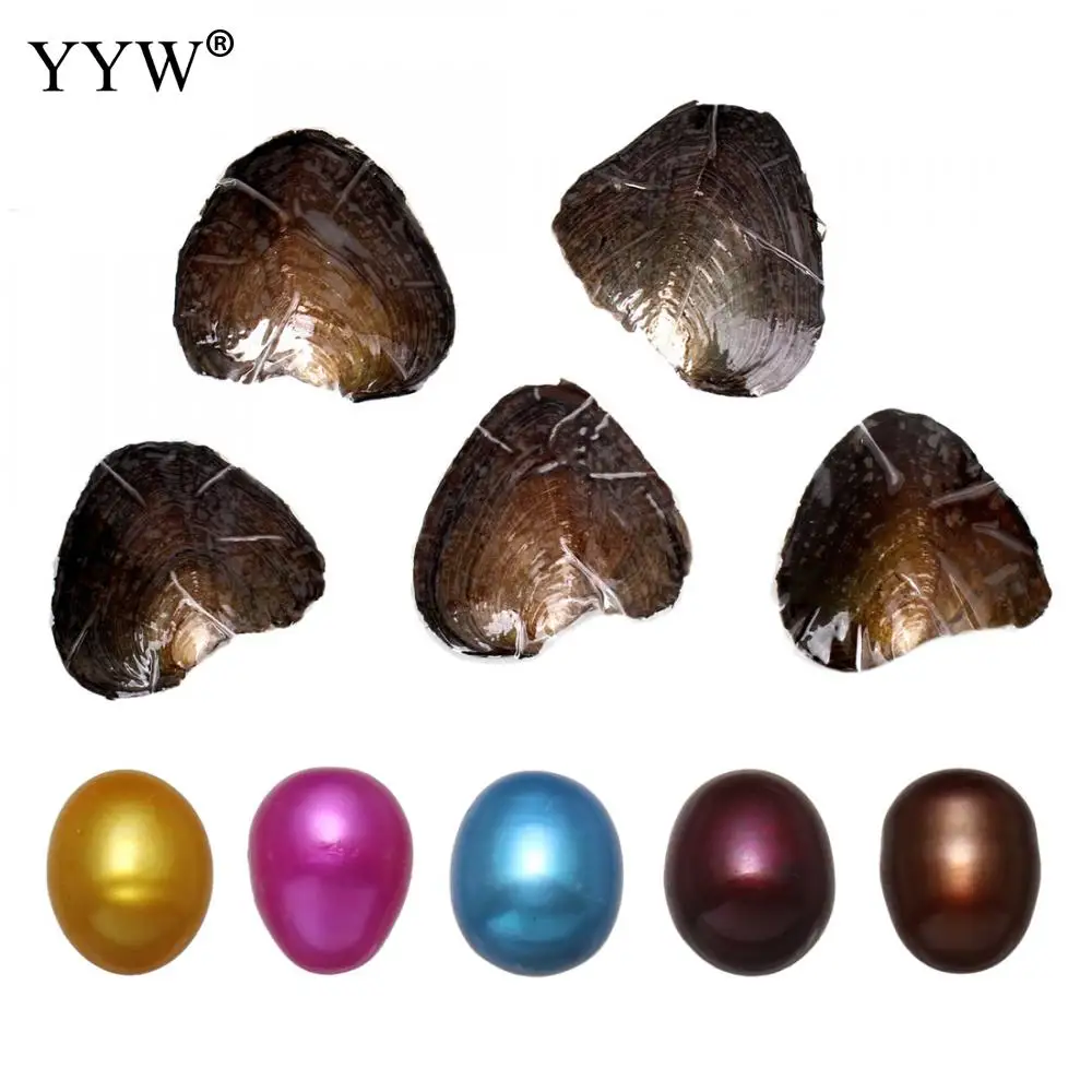 5PCs/Lot Vacuum-packed 9-9.5mm Rice Freshwater Love Wish Pearls Oysters One Mussel Shell Mother Oyster with One Pearl Beads
5PCs/Lot Vacuum-packed 9-9.5mm Rice Freshwater Love Wish Pearls Oysters One Mussel Shell Mother Oyster with One Pearl Beads