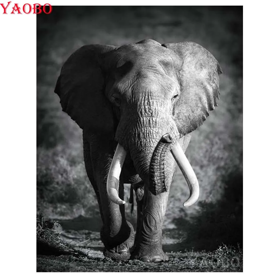 5D Diamond Painting Black And White Elephant Full Square Diamond Embroidery Animal Cross Stitch DIY Rhinestone Mosaic Painting
5D Diamond Painting Black And White Elephant Full Square Diamond Embroidery Animal Cross Stitch DIY Rhinestone Mosaic Painting
