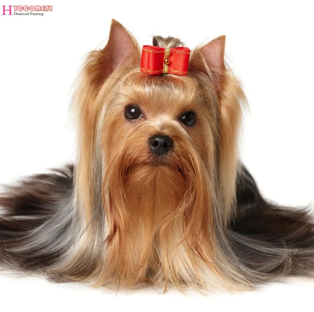 5D Diamond Painting Animal Yorkshire Terrier DIY full square Diamond Embroidery Diamond Mosaic Cross Stitch decoration gift
5D Diamond Painting Animal Yorkshire Terrier DIY full square Diamond Embroidery Diamond Mosaic Cross Stitch decoration gift
