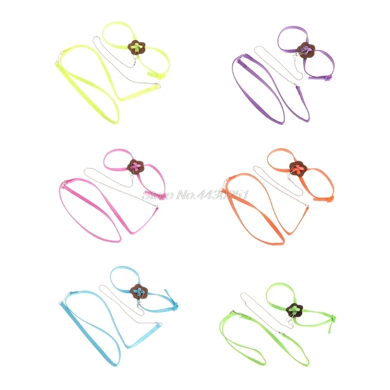 Parrot Bird Leash Outdoor Adjustable Harness Training Rope Anti Bite Flying Band
Parrot Bird Leash Outdoor Adjustable Harness Training Rope Anti Bite Flying Band