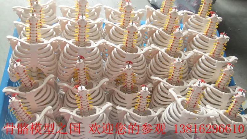 //img.alicdn.com/imgextra/i2/466366108/T2zaddXnFNXXXXXXXX_!!466366108.jpg