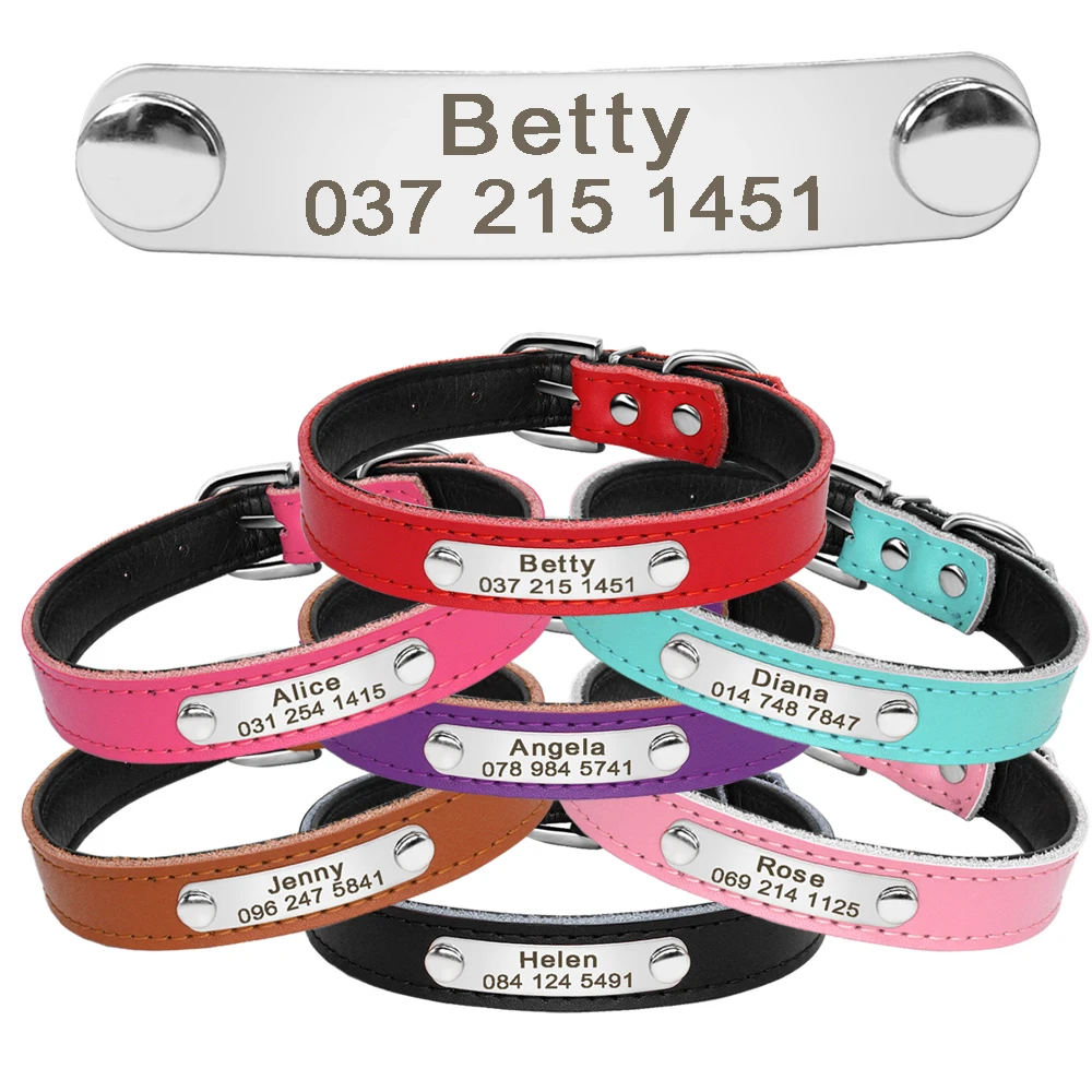 cat collar