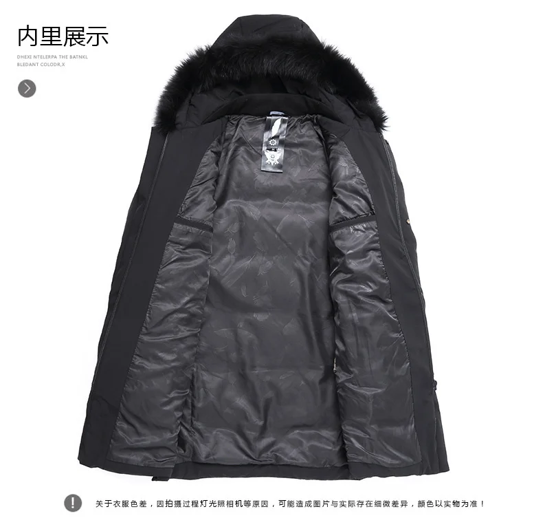 2345_image_file_copy_71