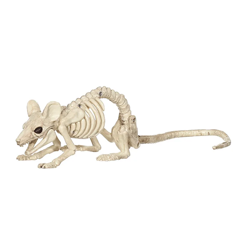 Cosplay&ware Animals Skeleton Halloween Decoration Mouse Dog Cat Skull Bone Ornaments Hallowmas Horror Haunted Party 22 Cosplay&ware Animals Skeleton Halloween Decoration Mouse Dog Cat Skull Bone Ornaments Hallowmas Horror Haunted Party -Cosplayware Store HTB1zb3VKkKWBuNjy1zjq6AOypXas.jpg