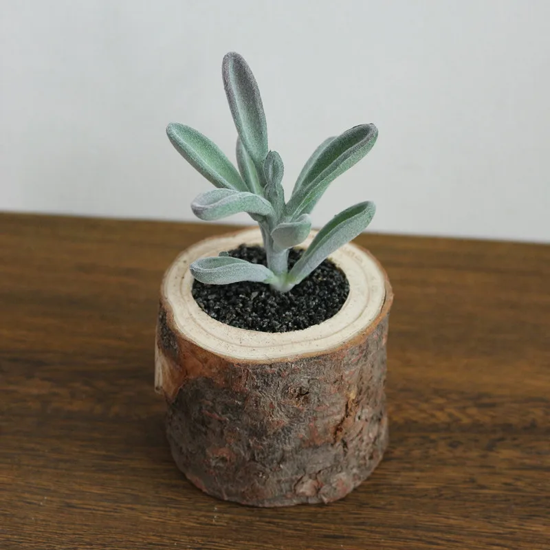 JAROWN Artificial Succulent Plants Potted Set Real Wooden Pile Flowerpot For Home Decoration Office Tabletop Decor (15)