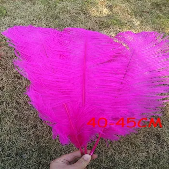 10pcs Wholesale 16-18inch/40-45cm Hot Pink Ostrich Feather DIY Wedding Home Decoration Craft Feathers Plumas sk249
10pcs Wholesale 16-18inch/40-45cm Hot Pink Ostrich Feather DIY Wedding Home Decoration Craft Feathers Plumas sk249