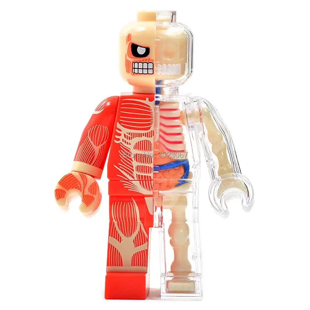 

4D master vision MUSCLE Brick Man funny ANATOMY MODEL medical Jason Freeny skeleton anatomical model Science Educational Toys