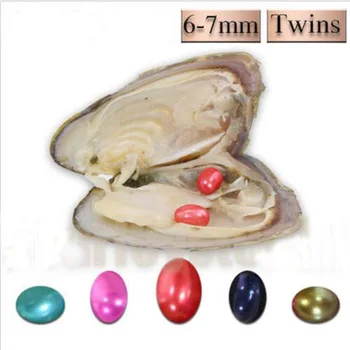 Freshwater Vacuum-pack Oyster 6-7mm Twins Rice Wish Pearls,AAA Mixed Colors Oval Pearl Oysters Birthday Wedding Gift PJW162
Freshwater Vacuum-pack Oyster 6-7mm Twins Rice Wish Pearls,AAA Mixed Colors Oval Pearl Oysters Birthday Wedding Gift PJW162