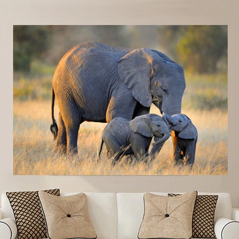 Top Selling Animal Modular Triptych Oil Painting Combined Room Wall Pictures on Canvas
Top Selling Animal Modular Triptych Oil Painting Combined Room Wall Pictures on Canvas