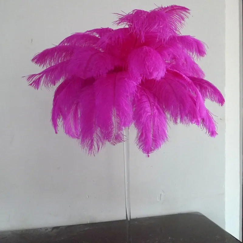 wholesale 20pcs/lot 35-40cm 14"-16" Hot Pink Ostrich Feather Plumage Wedding Centerpieces Fushia Ostrich Plume Home Hotel DIY
wholesale 20pcs/lot 35-40cm 14"-16" Hot Pink Ostrich Feather Plumage Wedding Centerpieces Fushia Ostrich Plume Home Hotel DIY