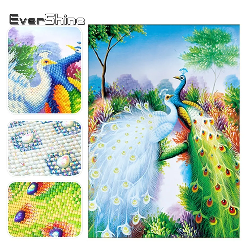 EverShine Special Shaped Diamond Embroidery Animal Peacock 5D Diamond Painting Cross Stitch Diamond Mosaic Wall Decoration
EverShine Special Shaped Diamond Embroidery Animal Peacock 5D Diamond Painting Cross Stitch Diamond Mosaic Wall Decoration