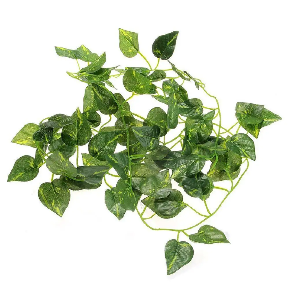 New Beautiful 2m Artificial Leaf Vine Scindapsus Aureus Plant Garland for Reptiles Terrarium
New Beautiful 2m Artificial Leaf Vine Scindapsus Aureus Plant Garland for Reptiles Terrarium