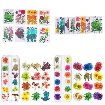 1bag Natural Floral Sticker 3D Dry Beauty Nail Art Decals Dried Flowers Leaf Nail Decoration Jewelry UV Gel DIY Filling Jewelry
1bag Natural Floral Sticker 3D Dry Beauty Nail Art Decals Dried Flowers Leaf Nail Decoration Jewelry UV Gel DIY Filling Jewelry