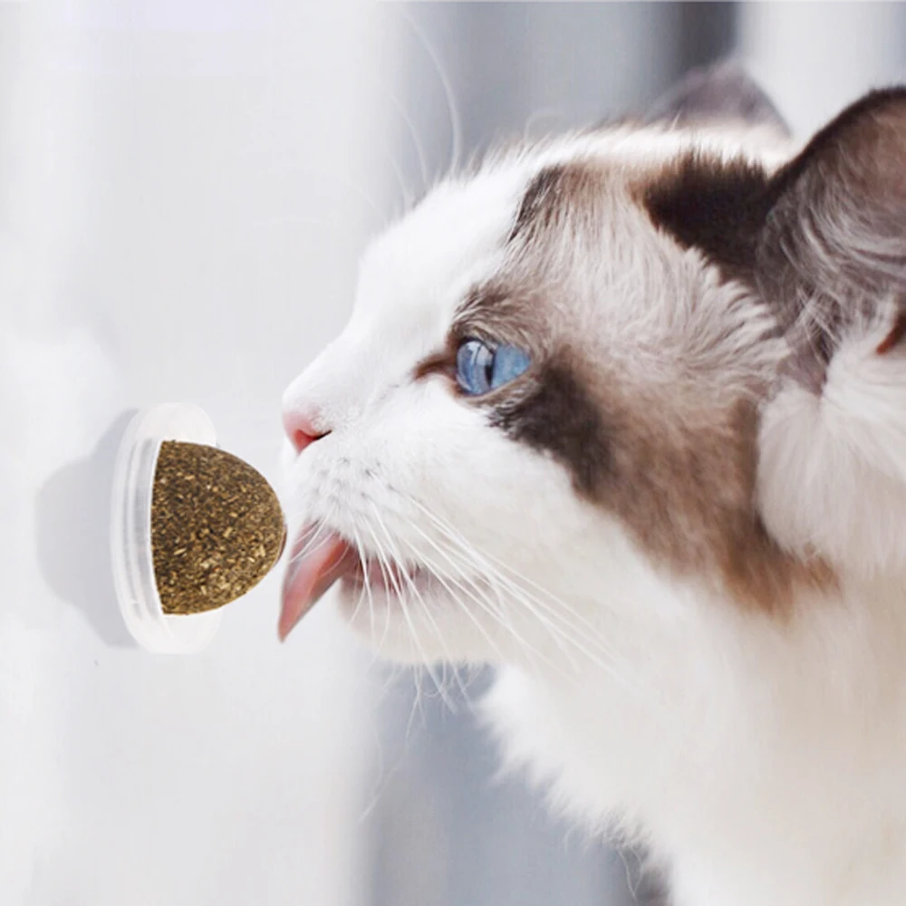 Natural Catnip Toys For s Crazy Healthy Kitten Edible Treating Cleaning Teeth Supplies Pet Toy Products
Natural Catnip Toys For s Crazy Healthy Kitten Edible Treating Cleaning Teeth Supplies Pet Toy Products