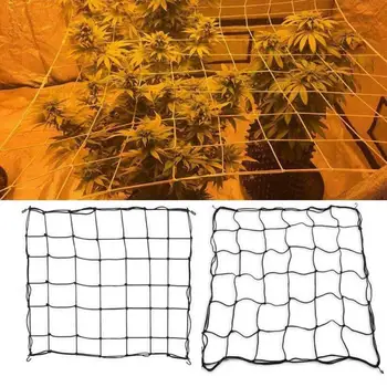 Flexible Garden Elastic Nylon Trellis Netting with 8 Steel Hooks for Plant Bean Grow Climbing Fence Tents Bean Fence
Flexible Garden Elastic Nylon Trellis Netting with 8 Steel Hooks for Plant Bean Grow Climbing Fence Tents Bean Fence