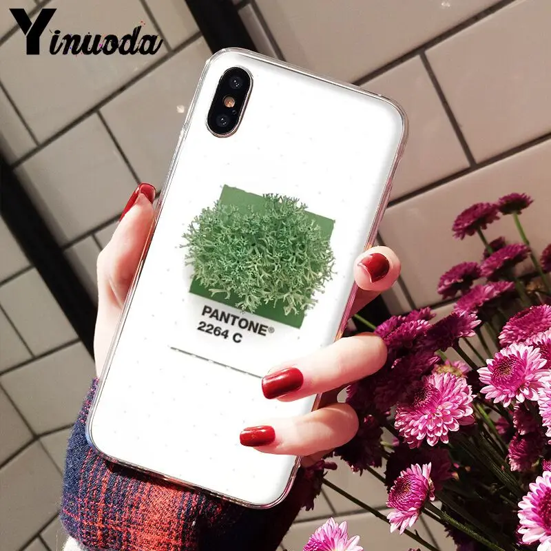 Pantone Candy Color Flower