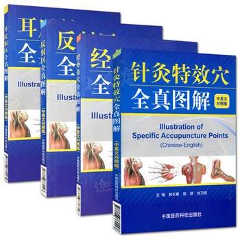 4pcs Bilingual Acupuncture Book Acupuncture meridian acupuncture points books in English and Chinese / Chinese Medicine Book
4pcs Bilingual Acupuncture Book Acupuncture meridian acupuncture points books in English and Chinese / Chinese Medicine Book