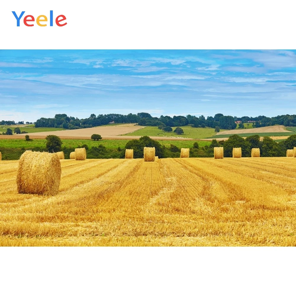 Yeele Autumn Rural Farm Field Hay Haystack Scene Photography Backgrounds Custom Kids Baby Photographic Backdrop For Photo Studio
Yeele Autumn Rural Farm Field Hay Haystack Scene Photography Backgrounds Custom Kids Baby Photographic Backdrop For Photo Studio
