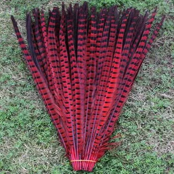 Wholesale 50 / lot beautiful red pheasant feathers 18-20 inches / 45-50 cm free shipping
Wholesale 50 / lot beautiful red pheasant feathers 18-20 inches / 45-50 cm free shipping