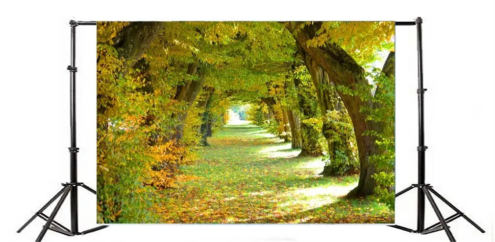 Photography Backdrop Nature Ric Jungle Old Tree Falling Leaves Grass Field Autumn
Photography Backdrop Nature Ric Jungle Old Tree Falling Leaves Grass Field Autumn