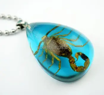 FREE SHIPPING 12 PCS Scorpion Insect In Colorful Resin Lucite 50 CM Stainless Steel Ball Bead Necklace Pendant Jewel Novel Gift 
FREE SHIPPING 12 PCS Scorpion Insect In Colorful Resin Lucite 50 CM Stainless Steel Ball Bead Necklace Pendant Jewel Novel Gift