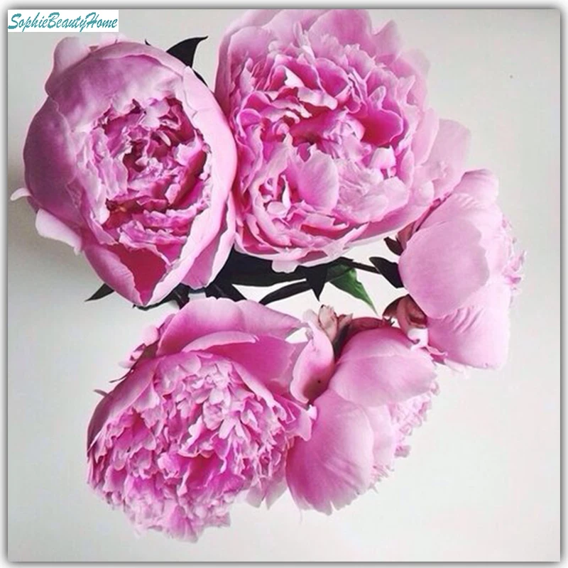 Sophie beauty home 5D DIY diamond painting pink flowers cross stitch mosaic home wall decoration pictures
Sophie beauty home 5D DIY diamond painting pink flowers cross stitch mosaic home wall decoration pictures
