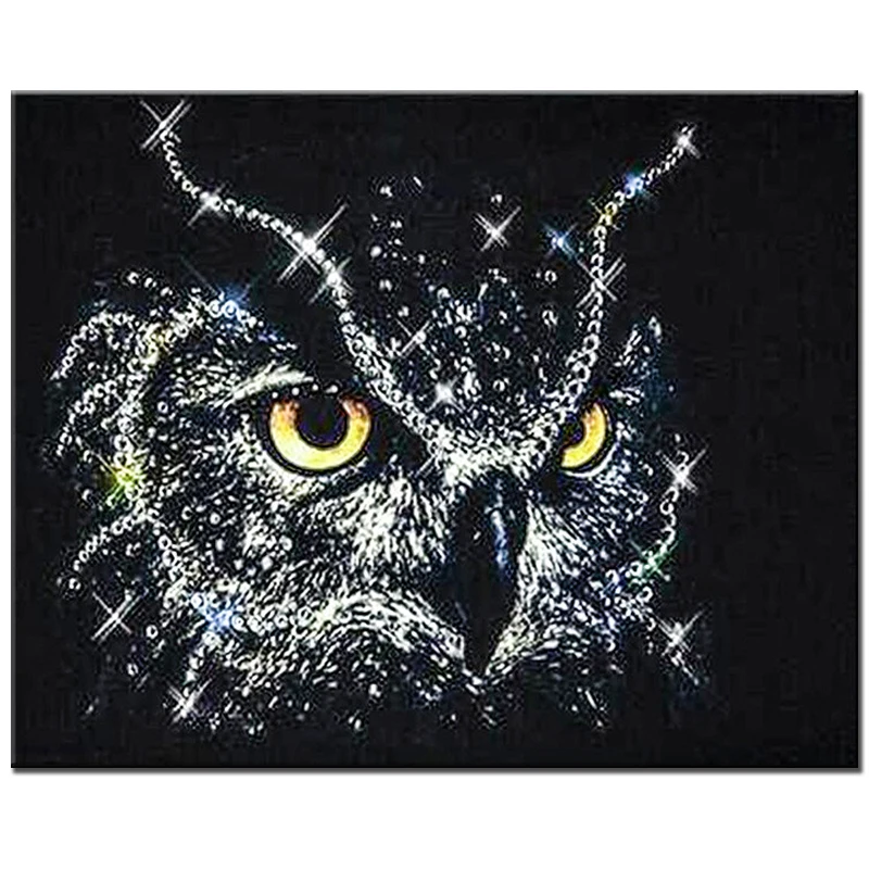 Black Owl Patterns Rhinestones 5d Diy diamond embroidery kit crystal diamond painting 3D full round drill picture room new decor
Black Owl Patterns Rhinestones 5d Diy diamond embroidery kit crystal diamond painting 3D full round drill picture room new decor