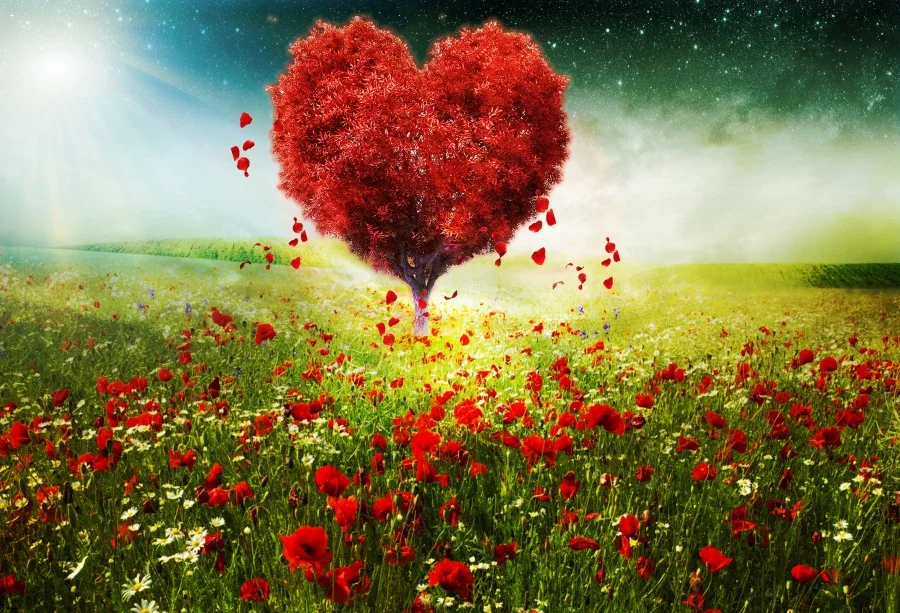 Laeacco Happy Valentine's Day Photography Backgrounds Heart Tree Flower Scene Baby Photographic Backdrops For Photo Studio
Laeacco Happy Valentine's Day Photography Backgrounds Heart Tree Flower Scene Baby Photographic Backdrops For Photo Studio
