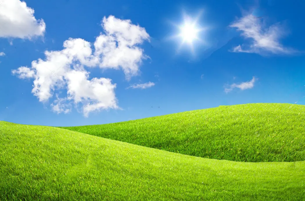 

green grass blue sky background Vinyl cloth High quality Computer print party backdrops
