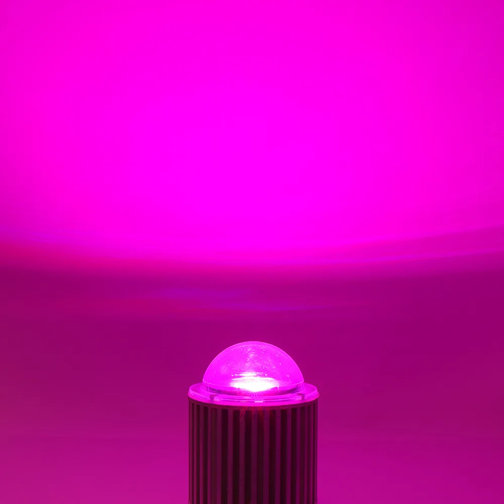 4659597681_445675635