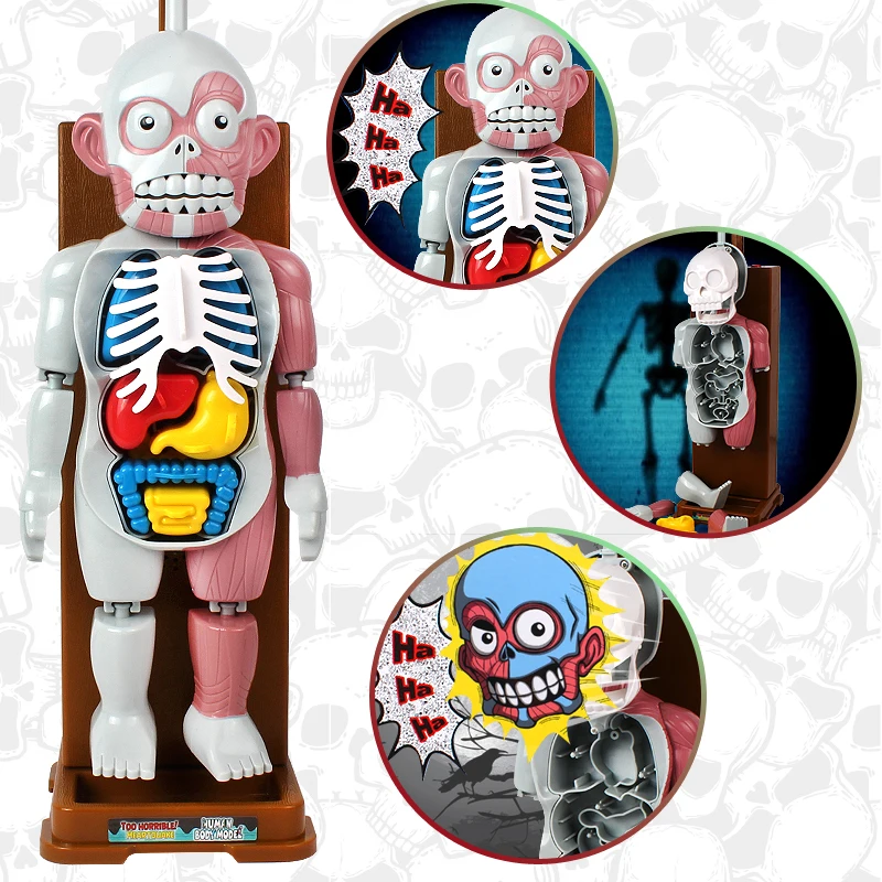 Novelty Gifts Funny Gag Toys Simulation Human Scary Toy Christmas Party Game Organs Assembled 3D Puzzle Tricky Joke Family Games
Novelty Gifts Funny Gag Toys Simulation Human Scary Toy Christmas Party Game Organs Assembled 3D Puzzle Tricky Joke Family Games