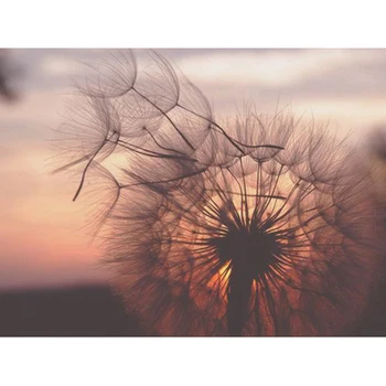 Full square/Round drill Diamond embroidery Dandelion flower 5D DIY diamond Painting Cross Stitch Rhinestone Mosaic decor HYY
Full square/Round drill Diamond embroidery Dandelion flower 5D DIY diamond Painting Cross Stitch Rhinestone Mosaic decor HYY