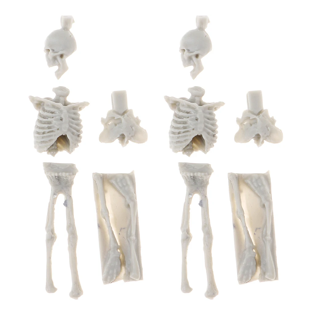 4Pcs 1:35 Scale Unpainted Unassemble Resin Skull Skeleton Model for Sand Table Armor Landcsape Diorama Building Toys