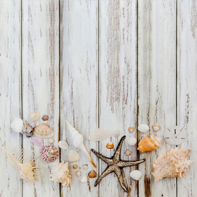 

Laeacco Old Fade Wooden Board Shells Starfish Baby Photography Backgrounds Customized Photographic Backdrops For Photo Studio