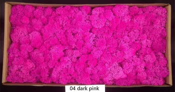 highly application preserved moss real naturl Unfading moss 500g with multi-colors for DIY decorative Artificial flower Gift
highly application preserved moss real naturl Unfading moss 500g with multi-colors for DIY decorative Artificial flower Gift