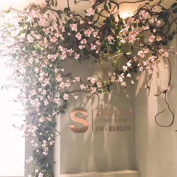 160cm magnolia artificial flowers magnolia vine silk fake Flower wall Rattan garland wreath for backdrop wedding home decoration
160cm magnolia artificial flowers magnolia vine silk fake Flower wall Rattan garland wreath for backdrop wedding home decoration