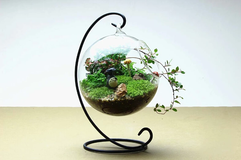 1SET New arrival Hanging Crystal Flower Vase Planter Terrarium Container Vases Pot Home Wedding Desk Party Decoration JY 1206
1SET New arrival Hanging Crystal Flower Vase Planter Terrarium Container Vases Pot Home Wedding Desk Party Decoration JY 1206