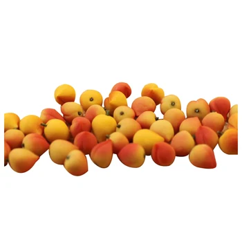10pcs Dollhouse Miniature Model Simulation Fake Fruit Kitchen Decor Gift 1/12 peach
10pcs Dollhouse Miniature Model Simulation Fake Fruit Kitchen Decor Gift 1/12 peach