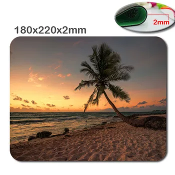 2pcs New Design Palm tree Background pattern high quality Speed Silica gel Computer Animation Rectangular Mouse Mat Mices Pads
2pcs New Design Palm tree Background pattern high quality Speed Silica gel Computer Animation Rectangular Mouse Mat Mices Pads