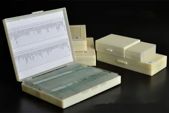 Biology 10/25/50/100/200 Prepared Glass Microscope Specimen Slides School and Laboratory English Label Teaching Samples
Biology 10/25/50/100/200 Prepared Glass Microscope Specimen Slides School and Laboratory English Label Teaching Samples